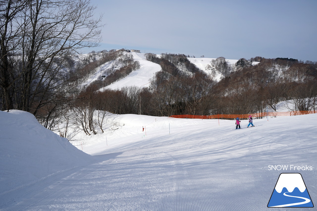 北海道ローカルスキー場巡り 2019 ～ 石狩平原スキー場(当別町)・北海道グリーンランドホワイトパーク(岩見沢市)